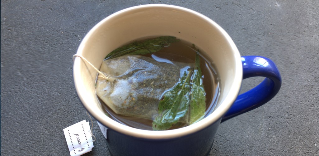 whole stevia leaves used to sweeten tea in cup