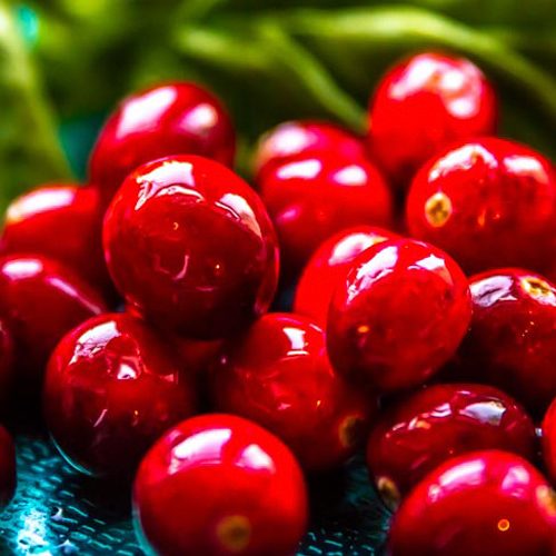Cranberry Basil Juice: Blender Juicing Recipe