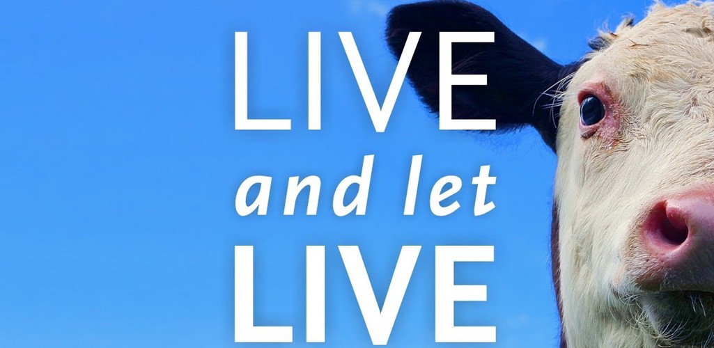 Live and Let Live DVD cover image