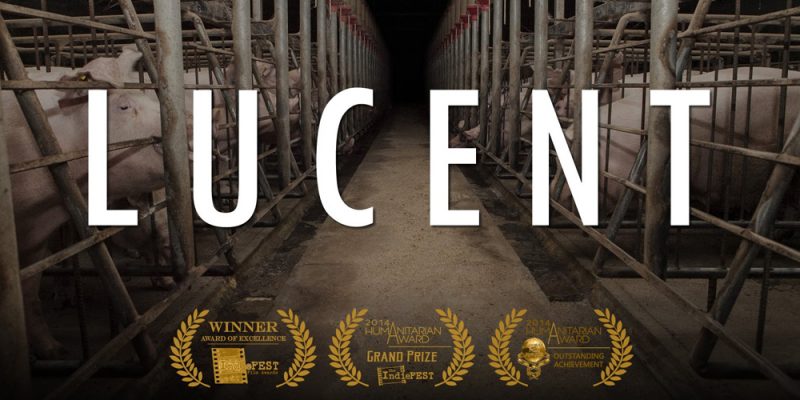 Lucent documentary