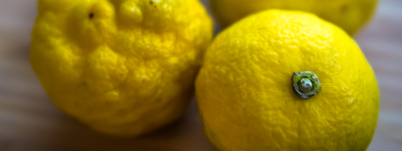Lemon Parsley Tahini Spread recipe: a staple spread for plant based eating