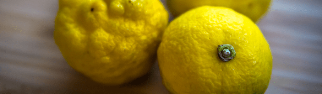 Lemon Parsley Tahini Spread recipe: a staple spread for plant based eating