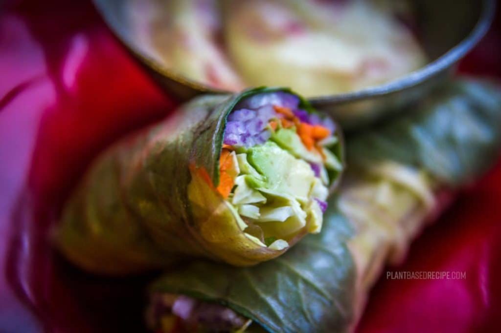Vegan spring roll with avocado and cabbage.