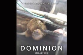 Dominion (2018 documentary)