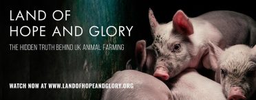 Land of Hope and Glory (2017 Documentary)