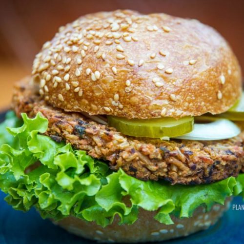 Bean and Rice vegan burger patty