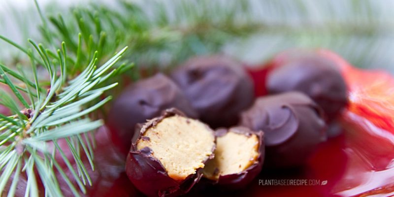 Vegan chocolate covered peanut butter candy