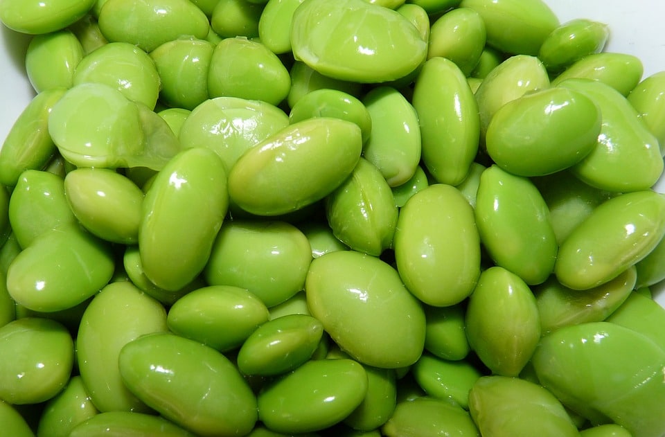 Soybeans contain phytoestrogens. 