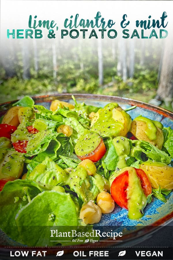 Herbed salad with herbed dressing - oil free vegan recipe.