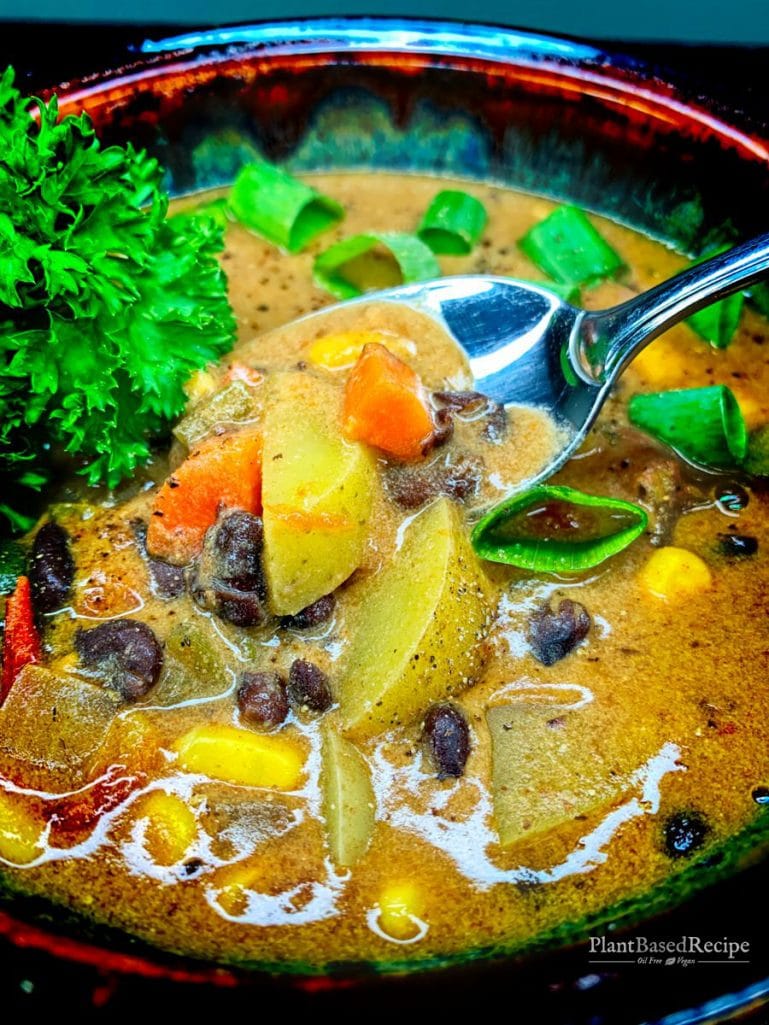 Versatile vegan recipe for a southwest stew.